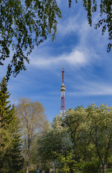 Similar image 21916980