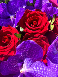 Similar image 21937621