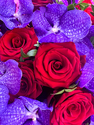 Similar image 21937622