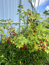 Similar image 21937623