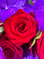 Similar image 21937624