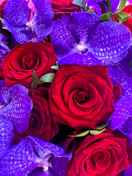 Similar image 21937625