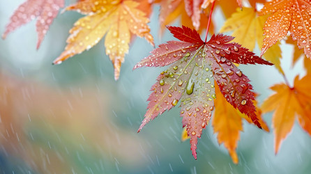 Similar image 21948288