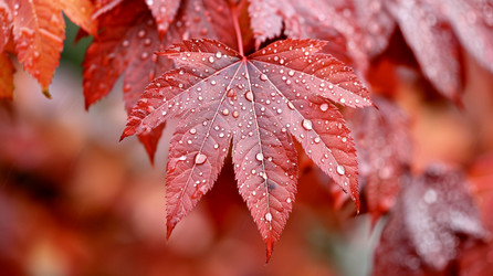 Similar image 21948289