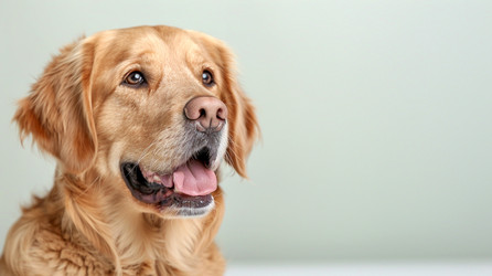 Similar image 21948301