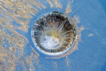 Similar image 21934035