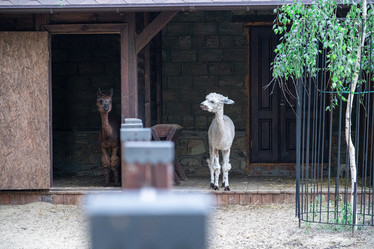 Similar image 21934046