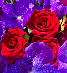 Similar image 21937360