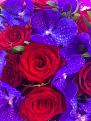 Similar image 21937361