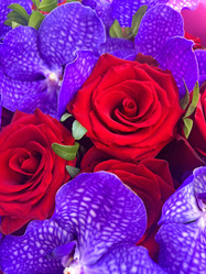 Similar image 21937627