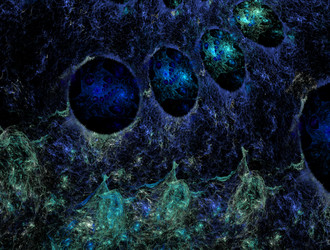 Similar image 21916326