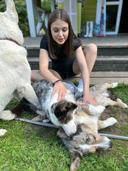 Similar image 21914657