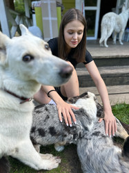 Similar image 21915702