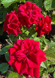 Similar image 21937630