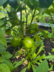 Similar image 21937362