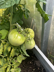 Similar image 21937364