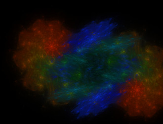 Similar image 21916611