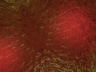 Similar image 21916613