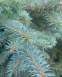 Similar image 21937368