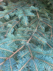 Similar image 21937369