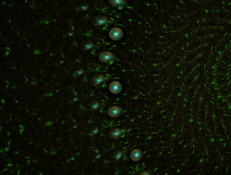 Similar image 21916617