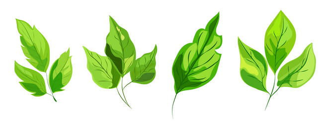 Similar image 21937810