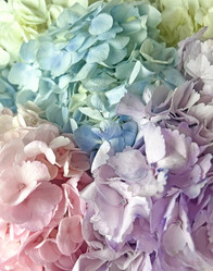 Similar image 21937632