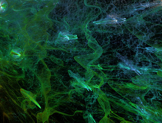 Similar image 21916344