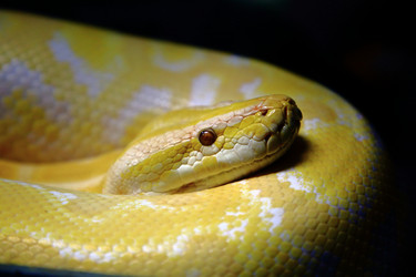 Similar image 21939810