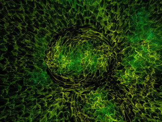 Similar image 21916638