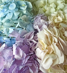 Similar image 21937370