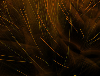 Similar image 21933008