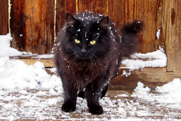 Similar image 21948335