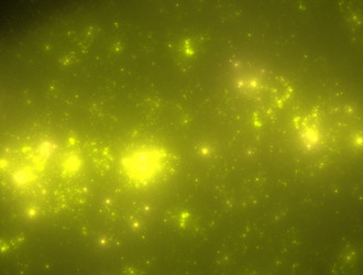 Similar image 21917985