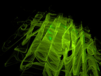 Similar image 21916353