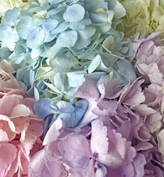 Similar image 21937634