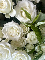 Similar image 21937636