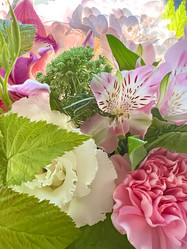 Similar image 21937371