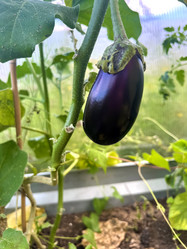 Similar image 21937372