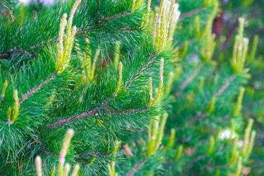 Similar image 21933606