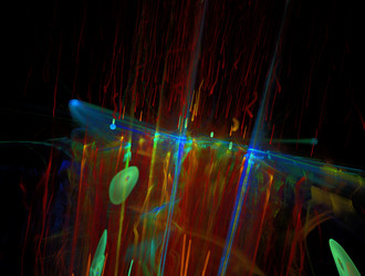 Similar image 21917994