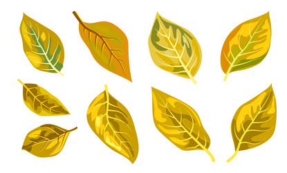 Similar image 21938064