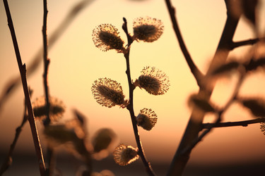 Similar image 21911711