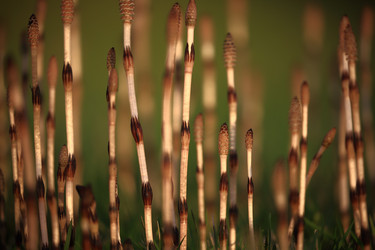 Similar image 21939811