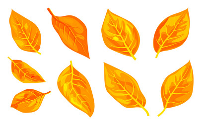 Similar image 21938071