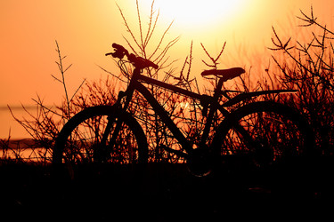 Similar image 21939814