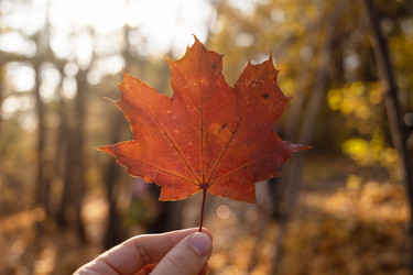 Similar image 21941848