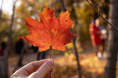 Similar image 21944013