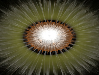 Similar image 21933036