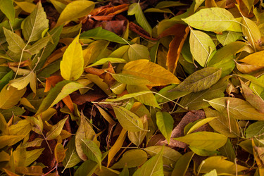 Similar image 21936560